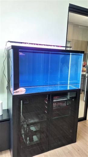 Showcasing the 𝗚𝗲𝗻𝗲𝗿𝗮𝗹 𝗦𝗲𝗿𝗶𝗲𝘀 𝗢𝘀𝗺𝗼𝘀 3x1.5x2 in 🅱🅻🅰🅲🅺! Our General Series Osmos allows you to rear many types of fish and is a great beginner tank that gives excellent filtration combined with a classy design! In this setup, we supplied his contractor with the appropriate pipes so that he is able to integrate our water discharge system for an easier water change experience! For more information on our tanks, contact us via PM or WhatsApp 6596658010! 🏠 #Showroom ➜554 Serang