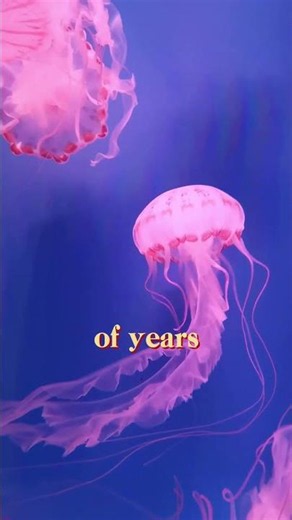 these jellyfish facts are shocking🪼