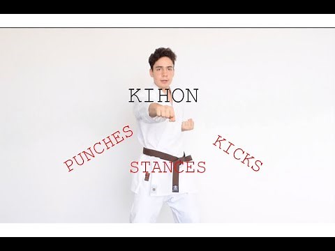Lesson 2 : Kyokushin Karate Kihon (follow along)