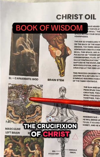 The book of wisdom is an amazing place to start planting seeds if you’re wanting to research ancient knowledge 📚🔥#bookofwisdom #book #awakening #tiktokshop #occult