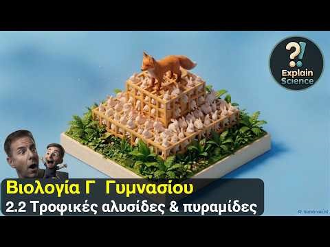 Βιολογία Γ Γυμνασίου - 2.2 Τροφικές αλυσίδες & πυραμίδες (3D)