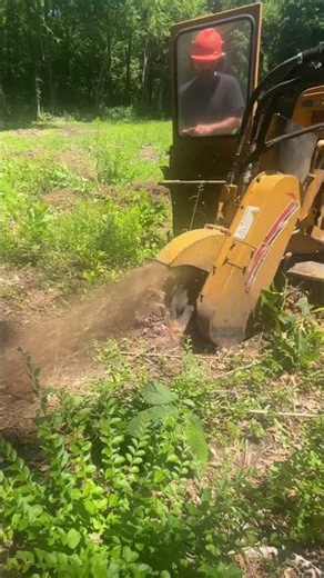 Rayco RG100x Grinding Stumps in Elizabeth City, NC