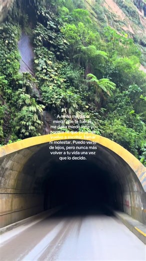 Desamor y despedidas: Reflexiones sinceras