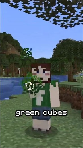 Minecraft Forests Are Missing Something