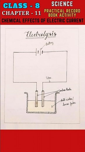Chemical Effects of Electric Current - Science Practical Record - Class 8 Science Chapter 11