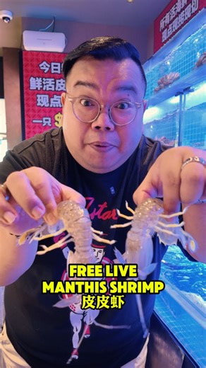 QUAN FU GUI New premium hotpot restaurant in geylang with over 100 ingredients to choose and a wide variety of live seafood that is seldom seen in Singapore. 🎉FREE live Manthis Shrimp for every diner eating at Quan Fu Gui with no min. purchase and FREE Sri Lanka Crab with minimum of $100 spending. All promotion are stackable and valid from 16th Oct to 9th Nov 2025. 📍465 Geylang Road, 01-467, Singapore 389424 Operating hrs: 11am to 2am @quanfuguiseafood #hotpot #steamboat #seafood #Crab #lobste