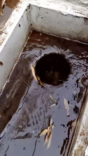 Blocked Downpipe | Commercial Gutter Cleaning | How To Unblock Downpipes