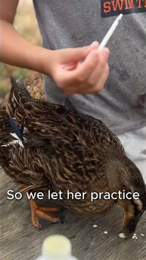 She's Already Better With Animals Than Most Adults #vet #cute #shorts