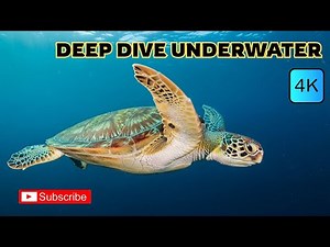 DEEP DIVE UNDERWATER - 4k | A Mesmerizing Journey into the Ocean's Depths
