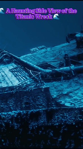 539K views · 11K reactions | ️ Resting more than 12,000 feet beneath...