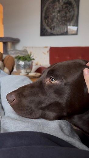 377K views · 853 reactions | I’ll go first: I’ve only ever known...