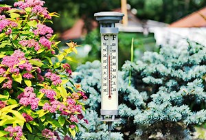 The Best Outdoor Thermometers of 2025