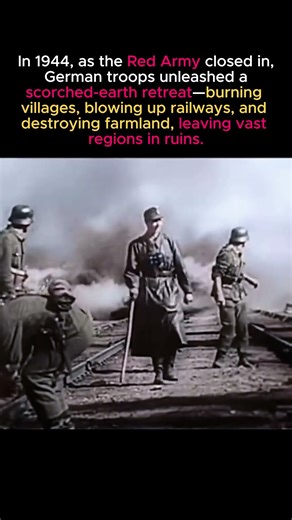 The Scorched-Earth Retreat: Germany’s Destruction in 1944