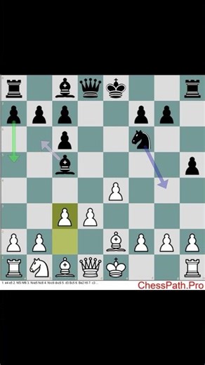 Stafford Gambit Counter #Chess #ChessOpening #ChessOpenings #chesstactics #chessstrategy