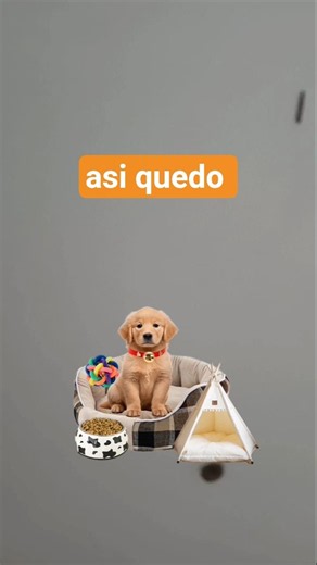 asiendo un perrito 🐕