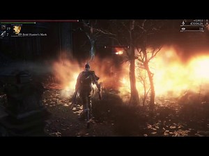 Bloodborne Max Level (544)
