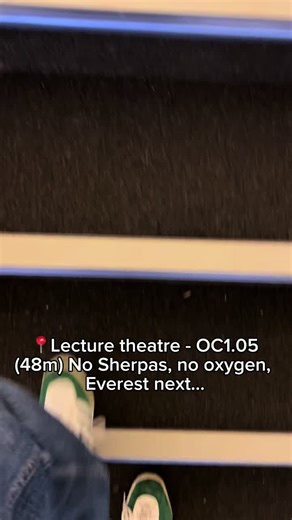 Exploring Everest: A University Lecture Experience