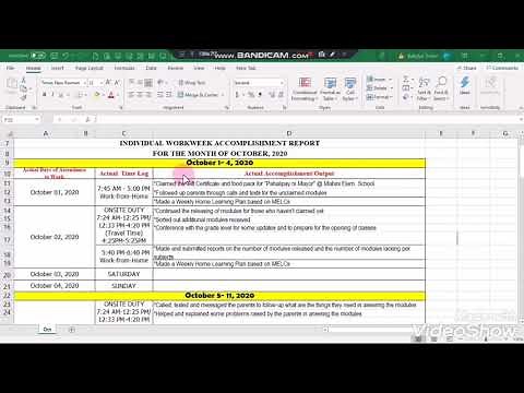 Individual Workweek Accomplishment Report Sample