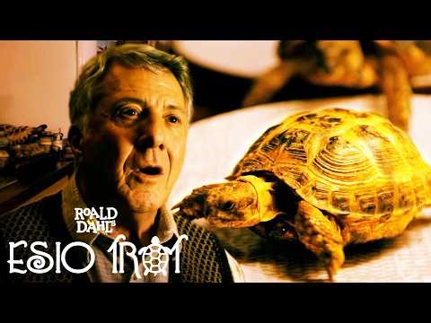 Tortoises Take Over Dustin Hoffman's Kitchen | Roald Dahl's Esio Trot