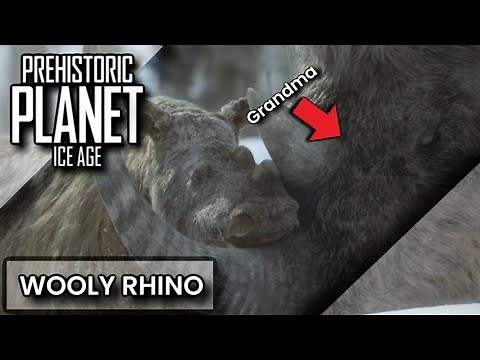 WOOLY RHINO SCREENTIME | PREHISTORIC PLANET ICE AGE