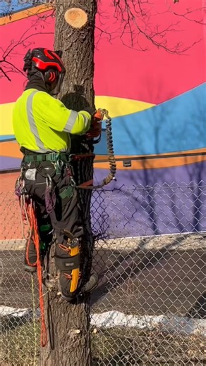 Taking down the tough ones, one cut at a time. Precision, power, and safety first every day. 🇺🇸🪚🌲 #TreeCutting #ChainsawWork #LumberLife #TreeServiceUSA #TimberCrew #ForestryLife #ArboristLife #USAWorkforce #Woodwork #HeavyDutyWork | Wood work 2