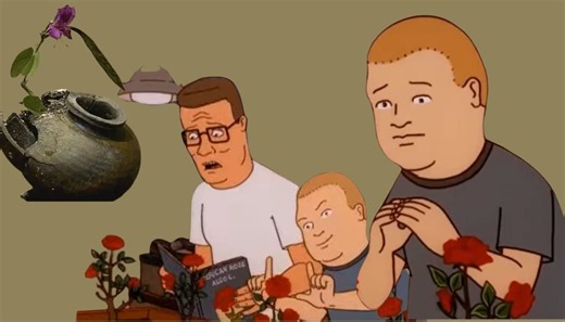 Wabi-Sabi is internet's new obsession: Here's what you need to know