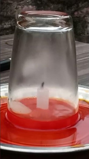 The Secret Science of the Rising Water 💧 #experiment