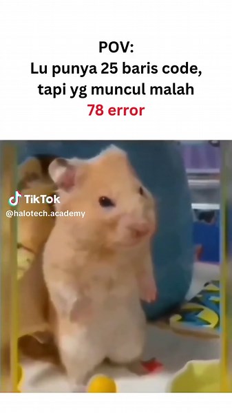 25 baris code. 78 error. Matematika apa ini? 💀😭 Padahal udah ngerasa bener semua, eh komputer punya pendapat lain rupanya... Tag temen yang paling sering ngalamin ini! 😂 📱 Tanya-tanya? WhatsApp 👉 https://wa.me/6285150007077 Mari ✨ Learn Today Great Tomorrow ✨ bersama Halotech Academy! #CodingLife #ProgrammerMeme #BelajarData #HalotechAcademy #Relatable