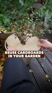 Patrick Vernuccio on Instagram: "Don’t throw away Cardboards 📦 Reuse it in your Garden 💚 Cardboards can have a second life in your garden by using it as : 📦 Mulch : Use Cardboards without ink. Remove tapes & labels, cut into small pieces and put on top of your soil. It will protect & nourish your soil. 📦 Use it as plain Mulch : Cut it into a circle shape & place on your pots. By avoiding light on the soil, this will suppress weeds but also will keep your soil warmer. 📦 Feed your worms : Thi