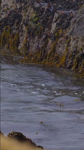 Stunning Walk Through Bay of Fundy #travellandscape