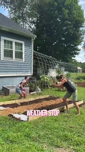 Winter Gardening Tips: DIY Greenhouse Essentials