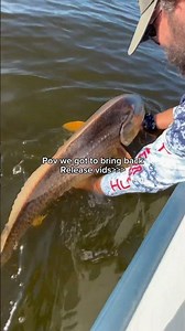 #music #fishing #lifeisbutadream #musicgenre #whitebassrun #bassfishing