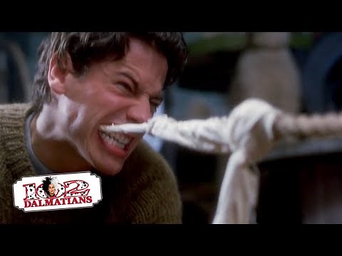 Tug of War, Dog vs Man | (1/15) Movie Scenes | 102 Dalmatians (2000) HD