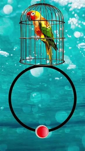 The parrot is trapped inside the cage, free it #videostopchallange #photostopchallenge #viral #foru