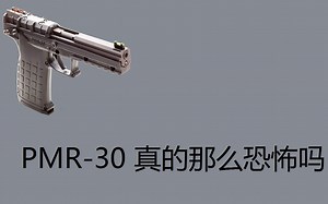 PMR-30真的那么恐怖吗