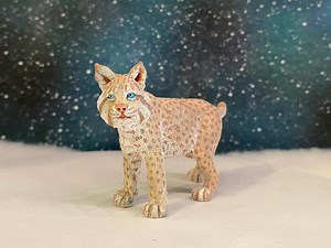 Leucistic “white” Bobcat