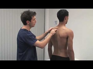 18 Macleod's examination of the thoracic and lumbar spine