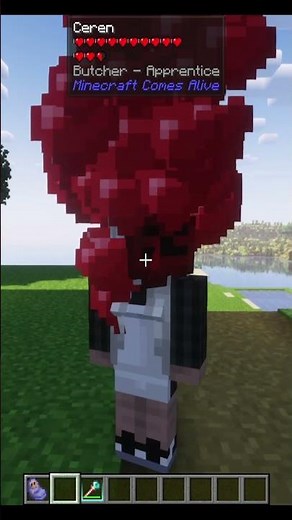 Having a baby in Minecraft.. Minecraft comes alive mod spotlight.. and what did we name our son?