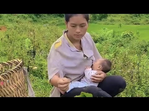 Poor Single Mother Picking Vegetables to Feed Her Family