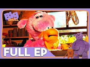 Big and Small 🧸 FULL EPISODE 🧸 Surprise, Surprise