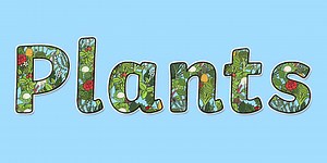 'Plants' Display Lettering