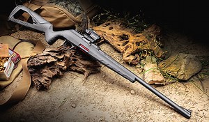 Winchester Wildcat 22 Review - Guns and Ammo