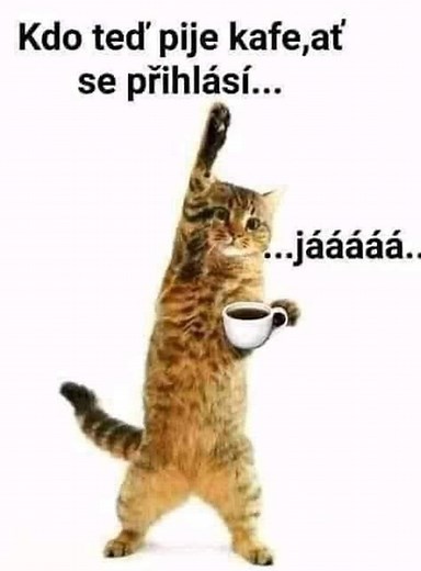 Olina Mihalikova on Reels