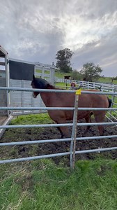 933K views · 2K reactions | No brain cells are working at the moment…...