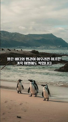 🌊 세상의 끝에서 만나는 절경! 🏞 케이프타운 여행 가이드 ✈️🇿🇦 #케이프타운 #남아프리카공화국 #세계3대미항 #여행요약소