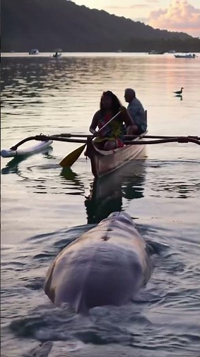 The sound this dolphin makes is unreal! #animalsounds