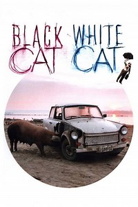 Black Cat, White Cat - Alchetron, The Free Social Encyclopedia