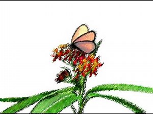 Baby Shakespeare (1999) - Raw Animations for Apple, Butterfly, Flower, Train, and Tree