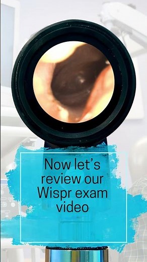 Misdiagnosed Acute Otitis Media?