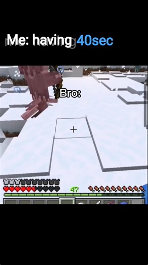 Me having 40sec to beat the game #game#minecraft